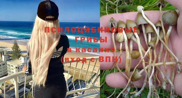 эйфоретик Аркадак
